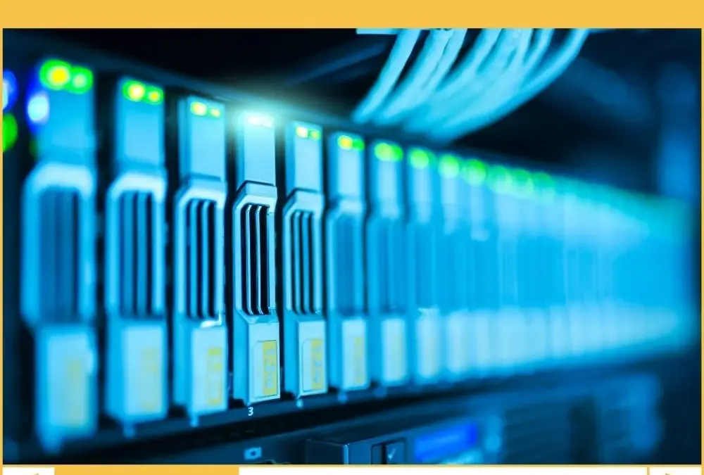 A Bloated WordPress Database is Costing Money